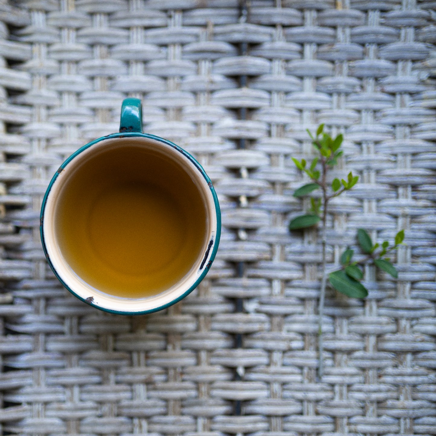 Textea Yaupon Tea