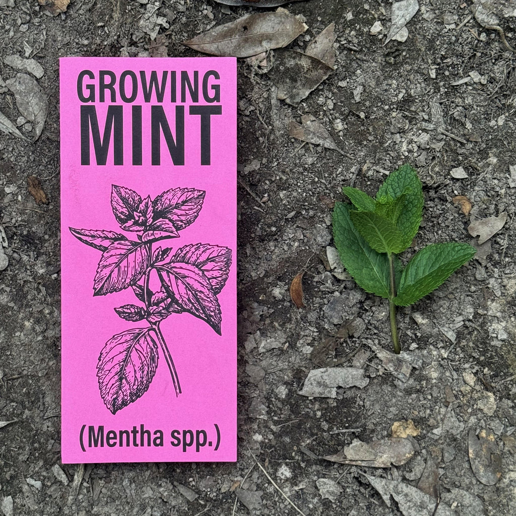 Additional Information