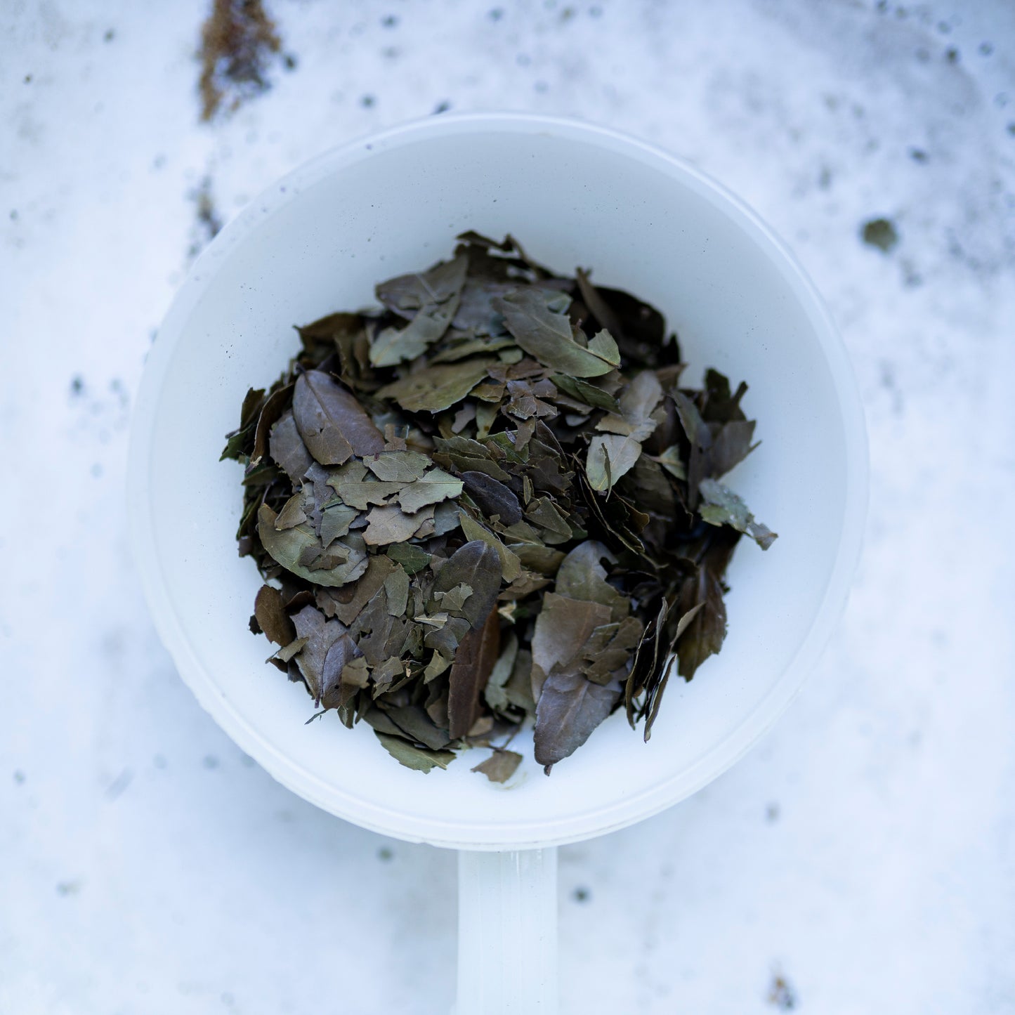 Textea Yaupon Tea